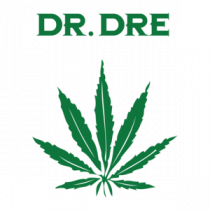 Dr. Dre The Chronic